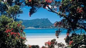 Shore Therapy Whangarei